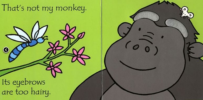 Book Thats not my monkey1