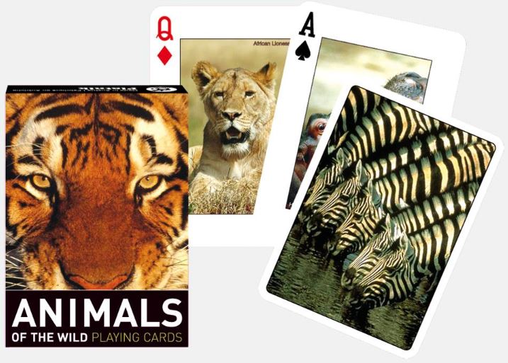 Cards Animals of the Wild