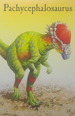 Cards Dinosaur Snap1